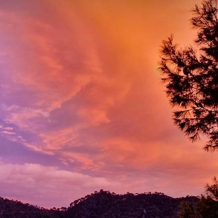 Apartamento En La Montana, Serra Bagian luar foto