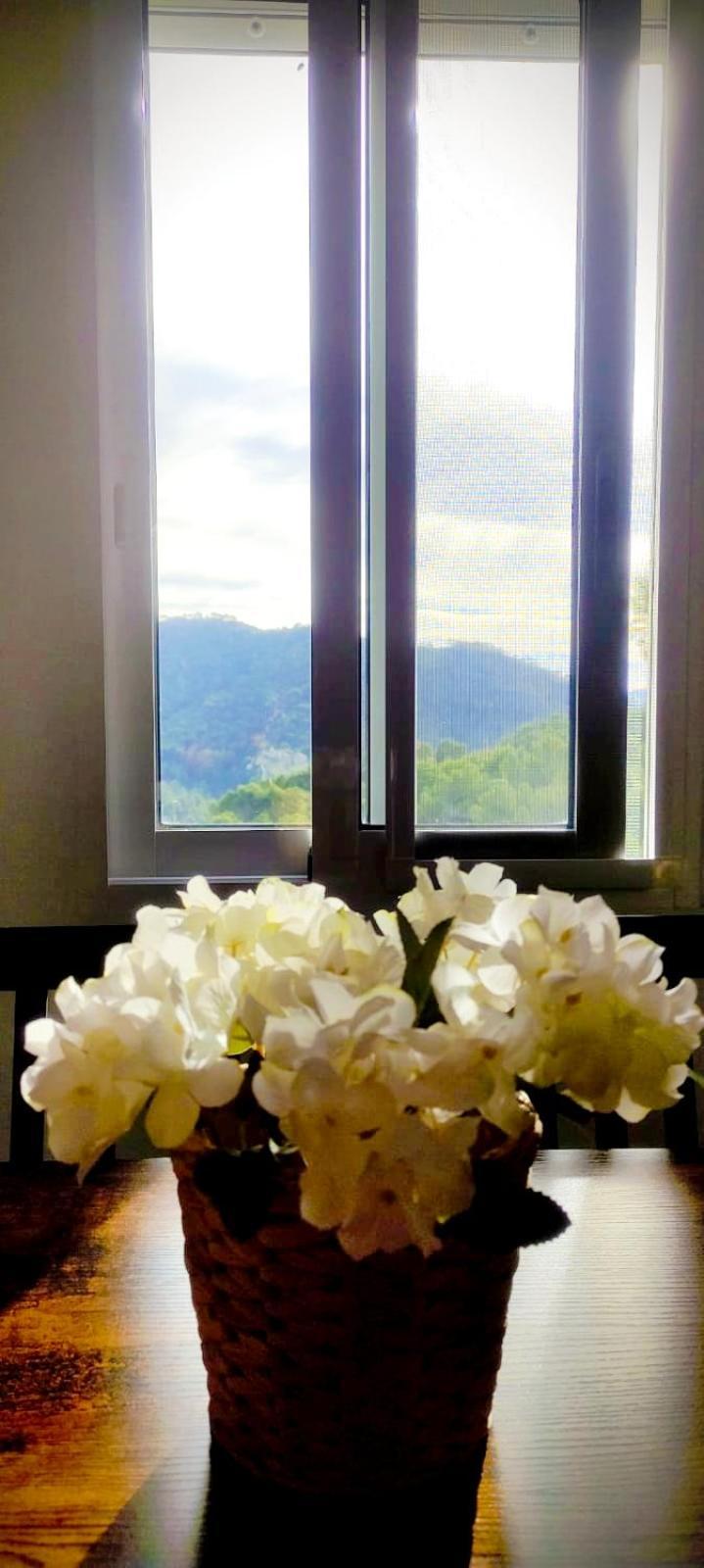 Apartamento En La Montana, Serra Bagian luar foto